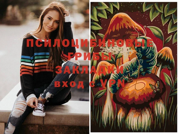 спайс Мегион